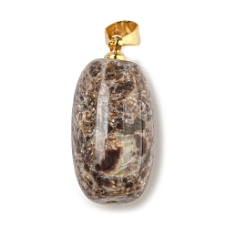 Натуральный Агат Природные подвески агат, Подвески-бочонки с позолоченными застежками из сплава на дужках, 21x10.5 мм, отверстие : 3.7x4.7 мм