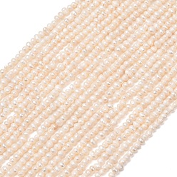 Old Lace Natural Cultured Freshwater Pearl Beads Strands, Potato, Grade A+, Old Lace, 2~2.5mm, Hole: 0.2mm, about 178pcs/strand, 13.98''(35.5cm)
