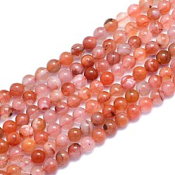 Red Agate Натуральные южные красные агатовые бусины, круглые, 6~6.5 мм, отверстие : 0.8 мм, около 60 шт / нитка, 14.96 дюйм (38 см)