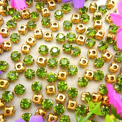 Оливин Плоская круглая вышивка стразами, стекло кристалл горный хрусталь, многожильных ссылки, с латунной закрепкой, оливина, 4 мм, около 1400~1440 шт / упаковка