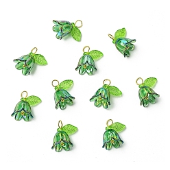Зеленый Прозрачные акриловые подвески, с латунной фурнитурой , цветок, зелёные, 15 мм, отверстие : 3 мм