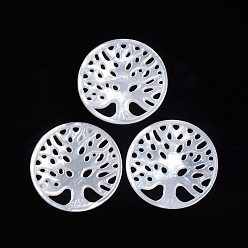 White Shell Natural White Shell Cabochons, Flat Round with Tree, 24.5~25x1.5mm