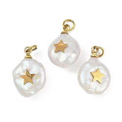 Звезда Натуральные кеши жемчужные подвески, подвески-слезинки с 316 ломтиками из нержавеющей стали, ионное покрытие (ip), реальный 18 k позолоченный, цветочный белый, звезда, 15~18x10~12x6~7 мм, отверстие : 2.8 мм