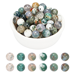 Tree Agate Natural Tree Agate Beads Strands, Round, Hole: 1mm, 49pcs/strand, 15.4 inch, 2strands/box