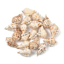 Морская Ракушка Подвески из натуральной медной проволоки в виде ракушки, подвески в форме ракушки с бусинами из ракушечного жемчуга, реальный 18 k позолоченный, цвет морской раковины, 35.5~41x19~22.5x14.5~19 мм, отверстие : 2 мм