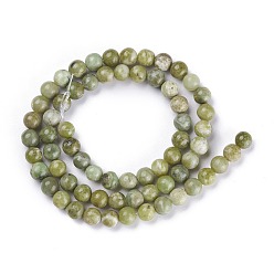 Idocrase Natural Idocrase Beads Strands, Vesuvianite Beads, Round, 8mm, Hole: 1mm, about 50pcs/strand, 16 inch