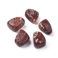 Léopard 5pcs perles naturelles en peau de léopard, pierre tombée, gemmes de remplissage de vase, pas de trous / non percés, nuggets, 20~35x13~23x8~22mm