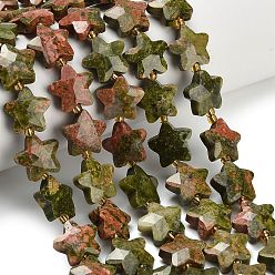 Унакит Природные Unakite бисер нитей, звезда, граненые, с бисером, 14~14.5x14.5~15x6~6.5 мм, отверстие : 1~1.2 мм, около 26 шт / нитка, 14.96~15.63'' (38~39.7 см)