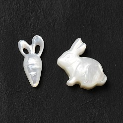 Seashell Color Natural Freshwater Shell Beads Sets, Carrot & Rabbit, Seashell Color, 11~11.5x6~11x2~3.5mm, Hole: 0.7mm, 2pcs/set