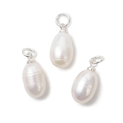 Серебро Натуральные культивированные пресноводные жемчужные рисовые подвески, с латунными штифтовыми скобами, белые, серебряные, 14.5~15x7.5~8 мм, Перейти кольцо: 5x0.8 мм, внутренний диаметр: 3.4 мм