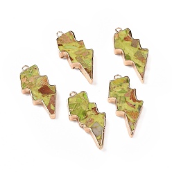 Светло-хаки Подвески из окрашенной натуральной императорской яшмы, подвески молнии, с фурнитурой латунной золотого тона, светлый хаки, 39.5x16.5x4 мм, отверстие : 1.8 мм