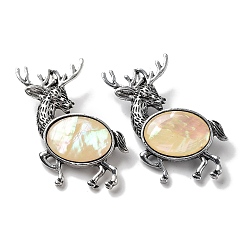 Antique Silver Tibetan Style Alloy Elk Brooches, with Natural White Shell, Antique Silver, 49.5x49x11mm