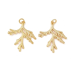 Настоящее золото 18K Латунные подвески, филиал, с прыжковых колец, без свинца и без кадмия, долговечный, стойки покрытие, реальный 18 k позолоченный, 28x25.5x2 мм, отверстие : 3 мм