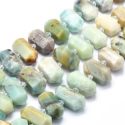 Flower Amazonite Натуральный цветок амазонитовые бусины пряди, граненые, двойное окончание остроконечное / пуля, 20~31x12~14x10~13 мм, отверстие : 1.8 мм, около 23~24 шт / нитка, 15.55 дюйм (39.5 см)