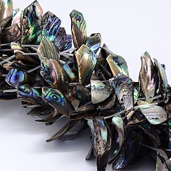 Colorful Natural Paua Shell Beads Strands, Rhombus, Colorful, 11~18x23~40x1~3mm, Hole: 1mm, about 20pcs/strand, 15.7 inch