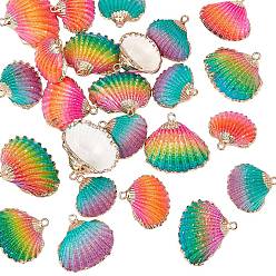 Mixed Color Spray Paint & Electroplate Natural Sea Shell Pendants, with Iron Findings, Mixed Color, 19~28x20~30x7~11mm, Hole: 2mm, 3 Colors, 8pcs/color, 24pcs/box