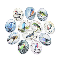 (52) Непрозрачная лаванда Зеркальные кабошоны, для поделок проектов, Рисунок птицы, овальные, разноцветные, 18x13x4 мм