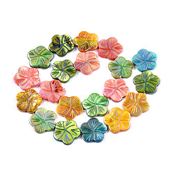 Colorful Natural Freshwater Shell Beads Strands, Dyed, AB Color, Flower, Colorful, 19~19.5x19.5~20x2~3mm, Hole: 0.7mm, about 20pcs/strand, 14.96 inch(38cm)