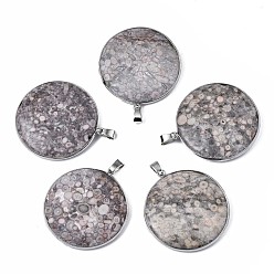 Plum Blossom Jasper Natural Plum Blossom Jasper Pendants, with Platinum Plated Iron Bails, Flat Round, 45x41x7.5~8mm, Hole: 3x6.5mm