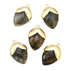 Лабрадорита Природные подвески лабрадорита, с золотой латуни нахождения, подвески в форме клубники, граненые, 25x17.5x7 мм, отверстие : 1.6 мм