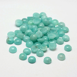 Амазонит Купольные/полукруглые кабошоны из натурального амазонита, 6x3 мм