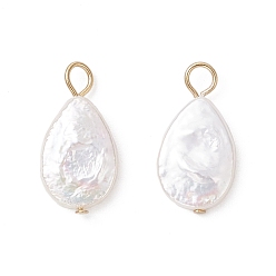 Teardrop Натуральные кеши жемчужные подвески, с 304 петлями из нержавеющей стали, кремово-белые, золотые, слеза, 16~17x8.5x2.5~4 мм, отверстие : 2.2~2.4 мм