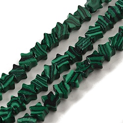 Malachite Perles synthétiques malachite brins, étoiles, 6x5.5x2mm, Trou: 0.8mm, Environ 75 pcs/chapelet, 14.57 pouce (37 cm)