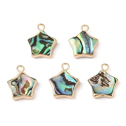 Golden Natural Paua Shell Star Charms with Brass Edge, Golden, 15x12.5x4mm, Hole: 1.8mm