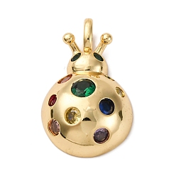 Insects Латунные микро проложить кубического циркония подвески, стойки покрытие, прочное покрытие, без кадмия и без свинца, реальный 18 k позолоченный, насекомые, 33x21x9 мм, отверстие : 3.5x4 мм