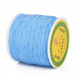 Light Sky Blue Braided Nylon Thread, Chinese Knotting Cord Beading Cord for Beading Jewelry Making, Light Sky Blue, 0.8mm, about 100yards/roll