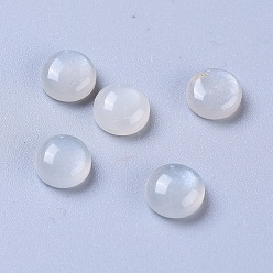 Grey Moonstone Кабошоны натурального серого лунного камня, полукруглые / купольные, 6x3 мм