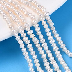 Кремово-белый Нити из натурального культивированного пресноводного жемчуга, картофель, кремово-белые, 2~3 мм, отверстие : 0.3~0.4 мм, около 77~80 шт / нитка, 7.28~7.48'' (18.5~19 см)