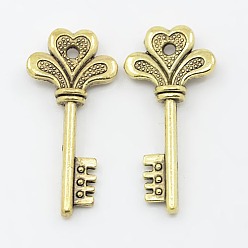 Античное Золото Сплавочные подвески тибетского стиля, без кадмия и без свинца, Ключ от всех дверей подвески, античное золото , 30x14x4 мм, отверстие : 1.5 мм