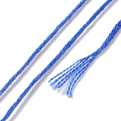 Steel Blue 10 Skeins 6-Ply Polyester Embroidery Floss, Cross Stitch Threads, Segment Dyed, Steel Blue, 0.5mm, about 8.75 Yards(8m)/skein