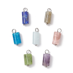 Смешанные камни 7шт. 7 стили подвески из натурального родонита, канадского нефрита, аквамарина, аметиста, апатита, лазурита и лабрадорита, подвески-колонны с гранеными петлями из латуни, платина, 15~16.5x6~6.5x6~7 мм, отверстие : 2.8~3 мм, 1 шт / стиль