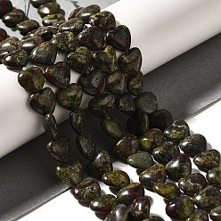 Кровь драконов Бисер натуральный дракон крови пряди, сердце, 10.5x10.5~11.5x4.5~5 мм, отверстие : 0.7~1 мм, около 38~40 шт / нитка, 36.8~42.6 см