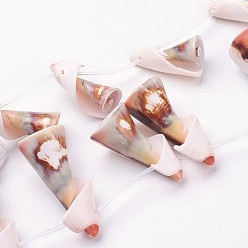 Freshwater Shell Natural Freshwater Shell Beads Strands, 27~43x13~20mm, Hole: 1mm, about 12pcs/strand, 14.7 inch~15.5 inch(37.5~39.5cm)