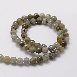 Labradorite Natural Labradorite Round Beads Strands, 6mm, Hole: 1mm, about 62pcs/strand, 15.7 inch