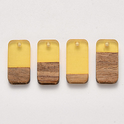 Золотистый Подвески из двухцветной прозрачной смолы и ореха, воском, прямоугольные, золотые, 20.5x10x3~4 мм, отверстие : 2 мм