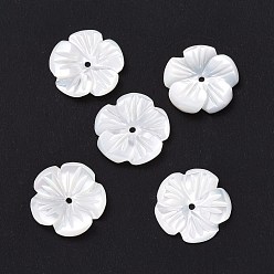 Морская Ракушка Натуральная оболочка, цветок, цвет морской раковины, 12x1.5 мм, отверстие : 0.5 мм