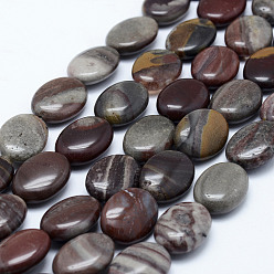 Picasso Jasper Natural Polychrome Jasper/Picasso Stone/Picasso Jasper Beads Strands, Flat Oval, 18x13x5.5~6mm, Hole: 1mm, about 22pcs/strand, 15.3 inch(39cm)