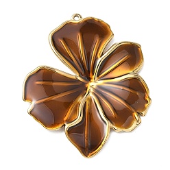 Coconut Marrón 304 de esmalte de acero inoxidable grandes colgantes, encantos de la flor, revestimiento de iones (ip), dorado, coco marrón, 55.5x46x3 mm, agujero: 1.6 mm