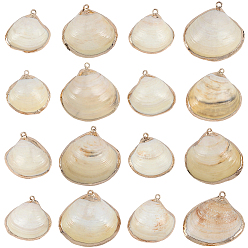 Морская Ракушка 30шт. подвески из натуральной ракушки с гальваническим покрытием, подвески в форме ракушки с фурнитурой из железа, золотые, цвет морской раковины, 19~40x17~42x5~15 мм, отверстие : 1.5~1.8 мм
