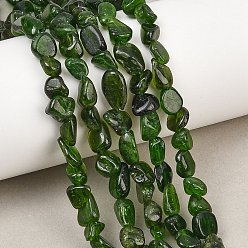 Diopside Natural Green Diopside Beads Strands, Nuggets, Tumbled Stone, 4~8x5~7x4~7mm, Hole: 1mm, about 56pcs/strand, 15.75''(40cm)