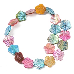 (52) Непрозрачная лаванда 1 нити натуральных пресноводных ракушек бусины нити, окрашенные, AB цвет, цветок, разноцветные, 19~19.5x19.5~20x2~3 мм, отверстие : 0.7 мм, около 20 шт / нитка, 14.96 дюйм (38 см)