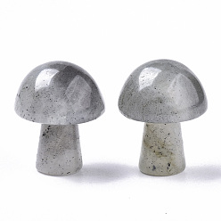 Labradorite Natural Labradorite GuaSha Stone, Gua Sha Scraping Massage Tool, for SPA Relaxing Meditation Massage, Undyed, Mushroom Shaped, 21x16mm