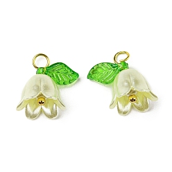 Бежевый Акриловые подвески, с золотыми латунными петлями, жемчужина с ландышем, бежевые, 13~13.5x10~11.5 мм, отверстие : 2.5~3 мм