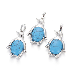 Синтетическая Бирюза Синтетические бирюзовые подвески, с латунной фурнитурой , пингвин, платина, 34~35x24~25x5~8 мм, отверстие : 8x5 мм