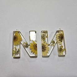 Letter N Подвески из прозрачной эпоксидной смолы, подвески-буквы с петлями, Письмо N, 43x37x8 мм, отверстие: 2 мм