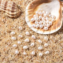 Льняное Полотно 10шт. натуральные пресноводные жемчужные бусины, рис, белье, 5~7x4~5 мм, отверстие : 0.6 мм